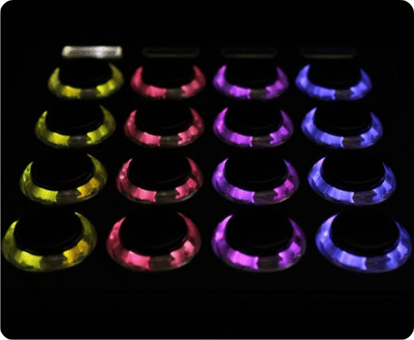 Endlich: deutscher Vertrieb für MIDI FIGHTER