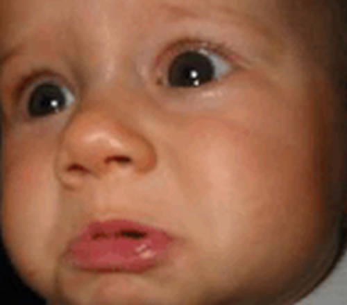 Das Wort zum Freitag