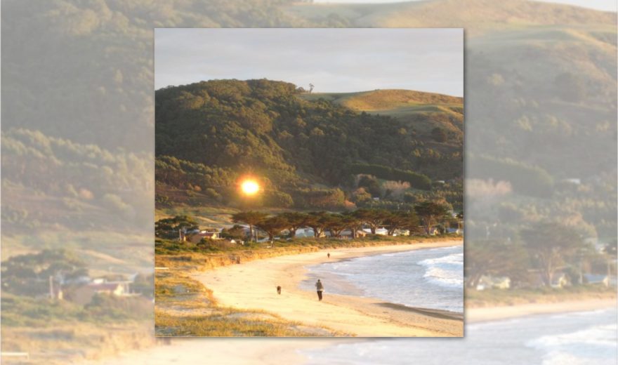 Neu: DJ Healer aka Traumprinz mit 3-stündigem Set