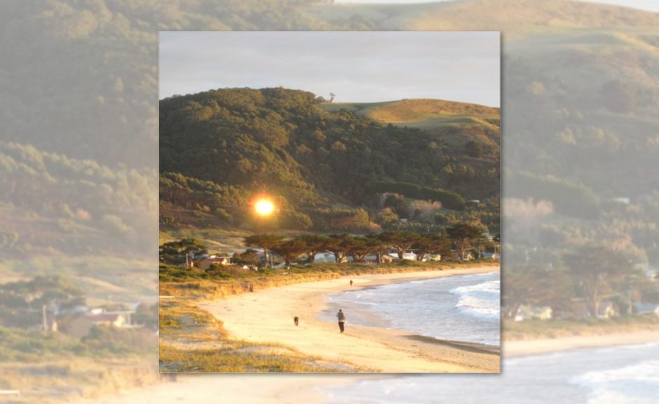 Neu: DJ Healer aka Traumprinz mit 3-stündigem Set