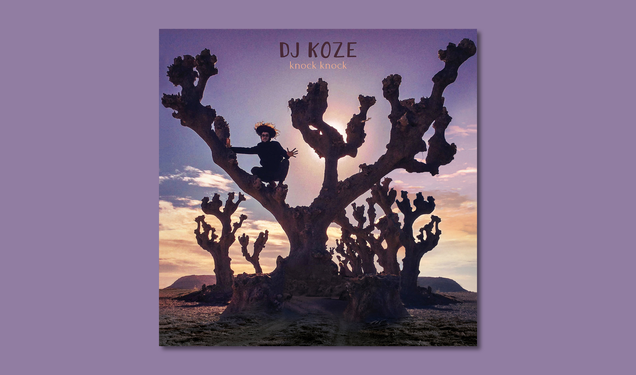 Review: DJ Koze - Knock Knock [Pampa Records]