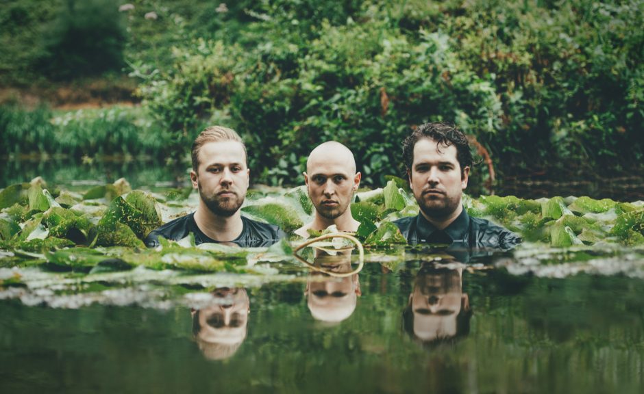 Up and Coming: Kapibara – Dschungelflair aus den Niederlanden