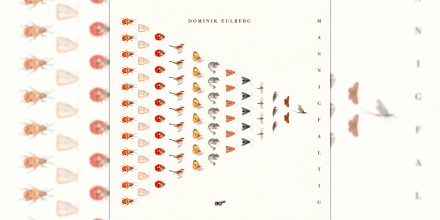 Review: Dominik Eulberg – Mannigfaltig [!K7 Records]