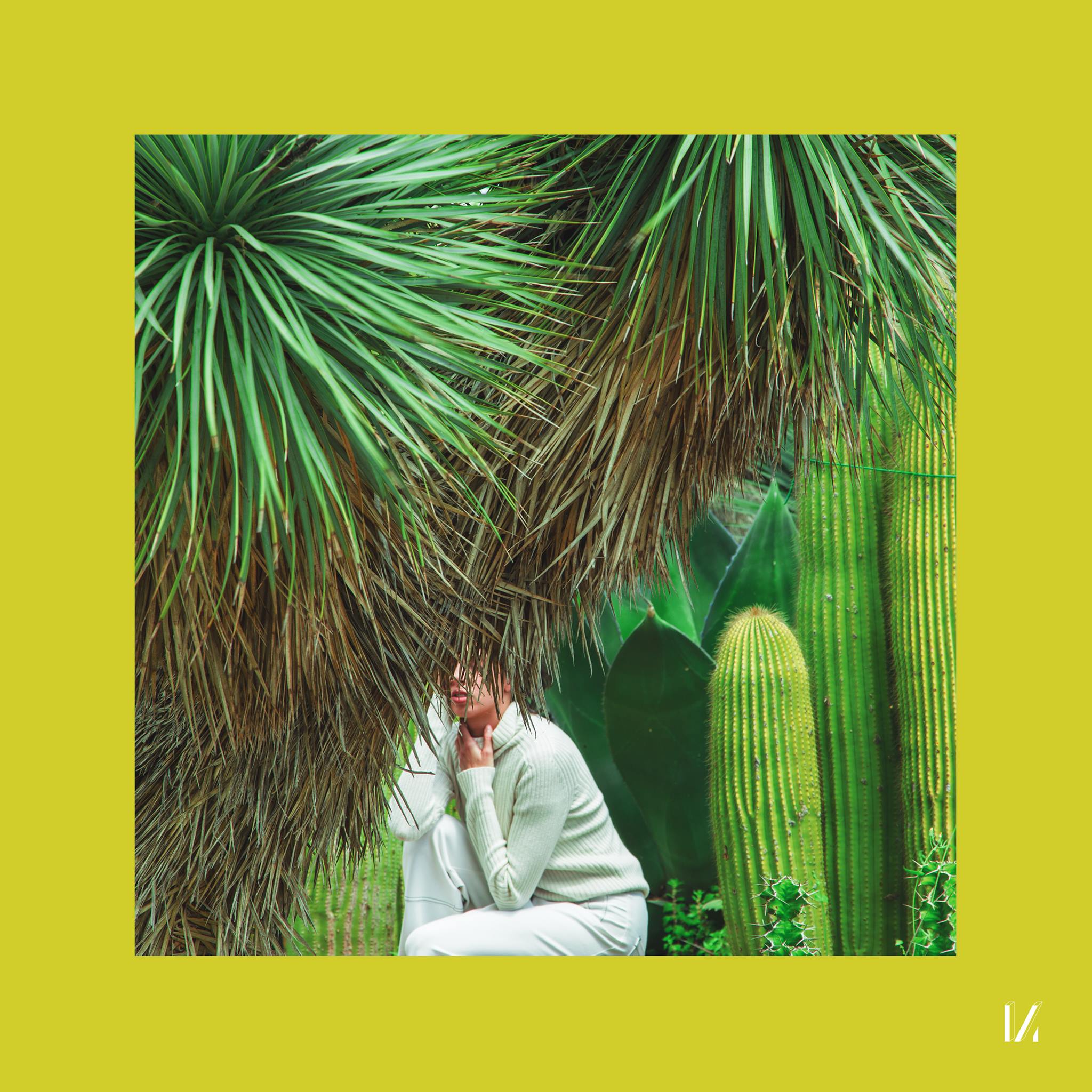 Stereocalypse_Domino_Multinotes