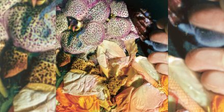 Review: Soela – Genuine Silk [Dial]