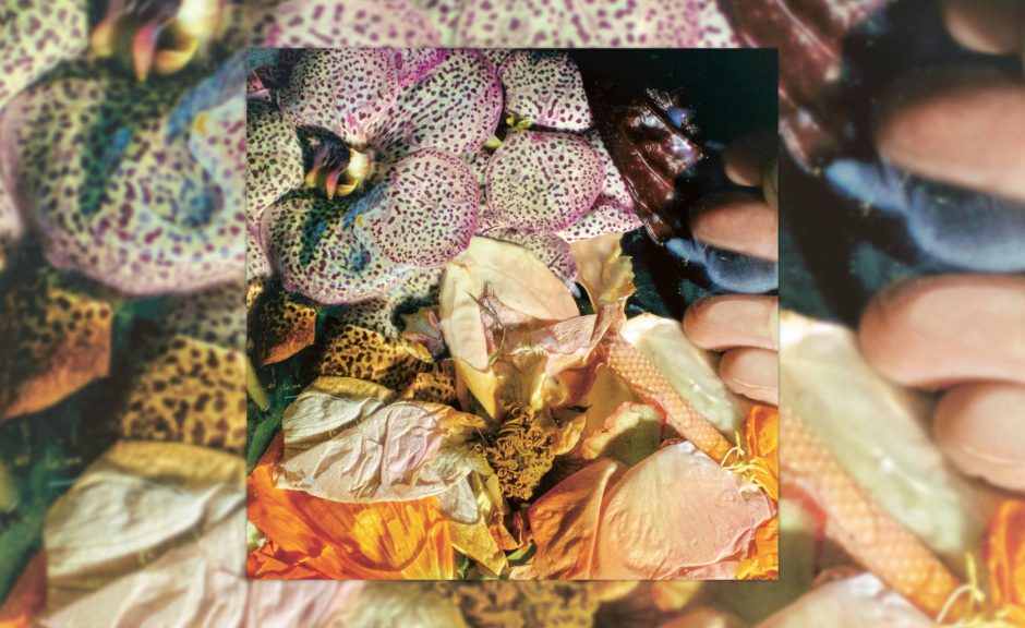 Review: Soela – Genuine Silk [Dial]