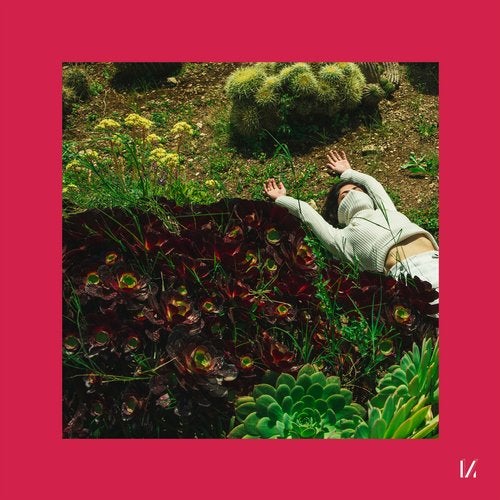 Lehar_Andromeda_Multinotes