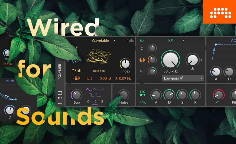 Neu: Bitwig Studio 3.3 Update mit modularem Synthesizer