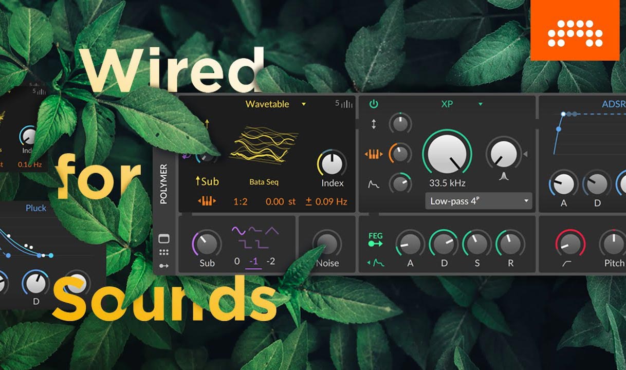 Neu: Bitwig Studio 3.3 Update mit modularem Synthesizer