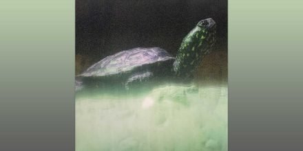 Review: DJ Metatron - Loops Of Infinity (A Rave Loveletter) [All Possible Worlds]