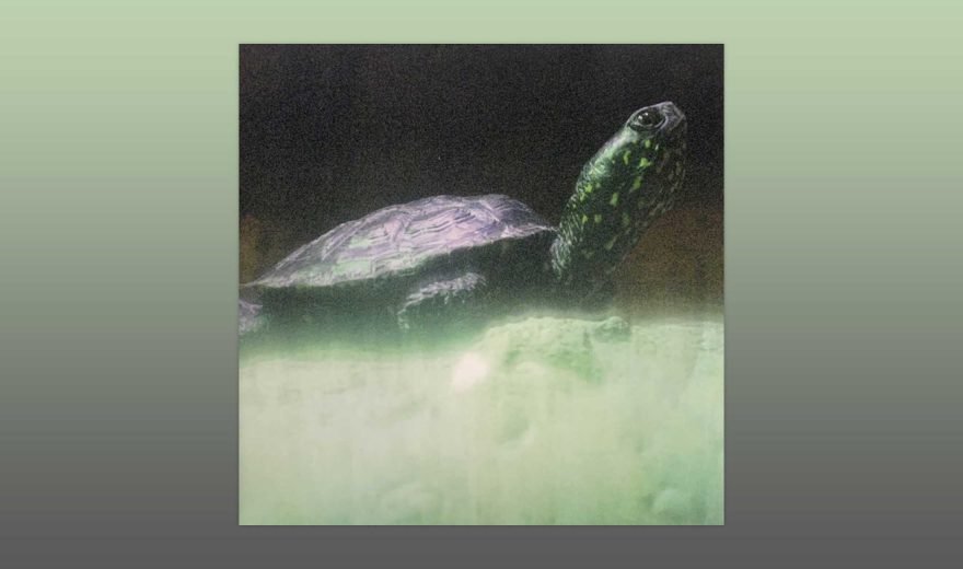 Review: DJ Metatron - Loops Of Infinity (A Rave Loveletter) [All Possible Worlds]