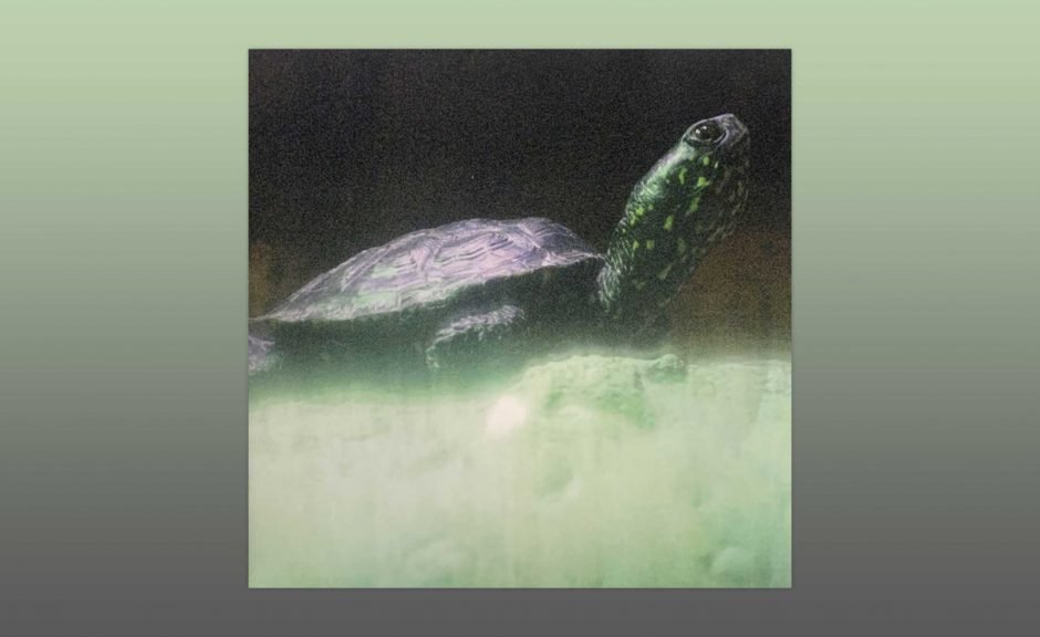 Review: DJ Metatron - Loops Of Infinity (A Rave Loveletter) [All Possible Worlds]