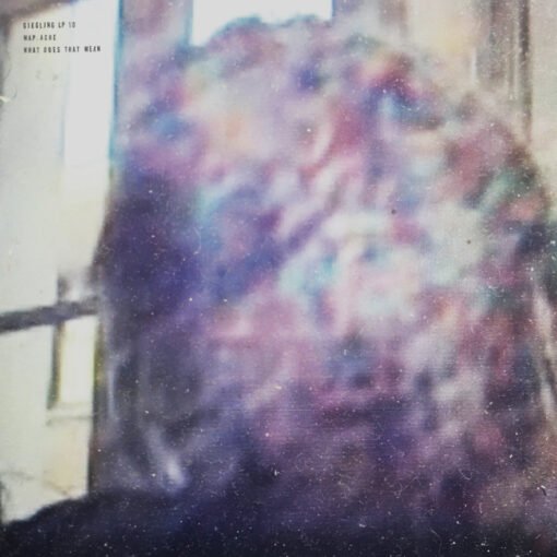 GIEGLINGLP10-510x510