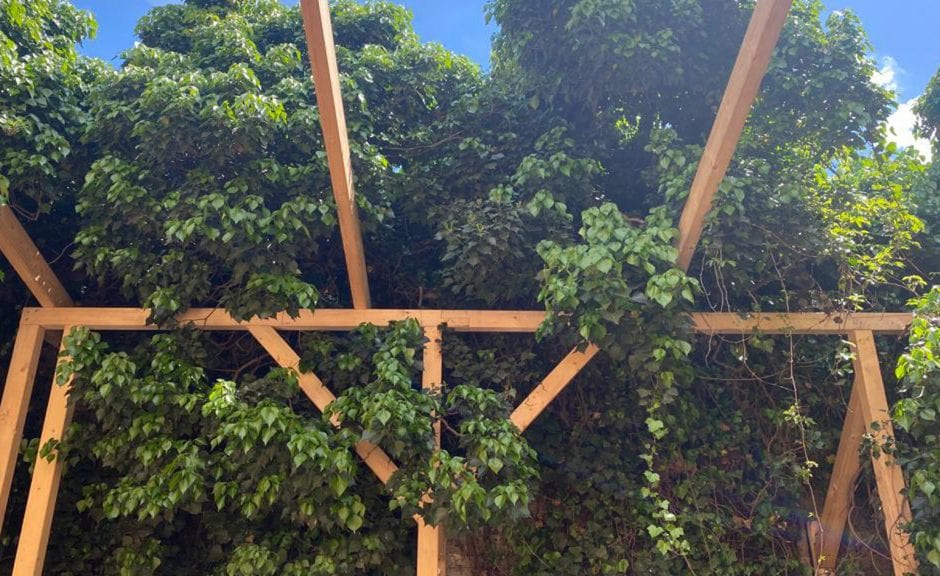 ÆDEN: Neuer Open-Air Club in Berlin eröffnet