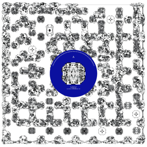 Bambounou x Bruce – Final Conference