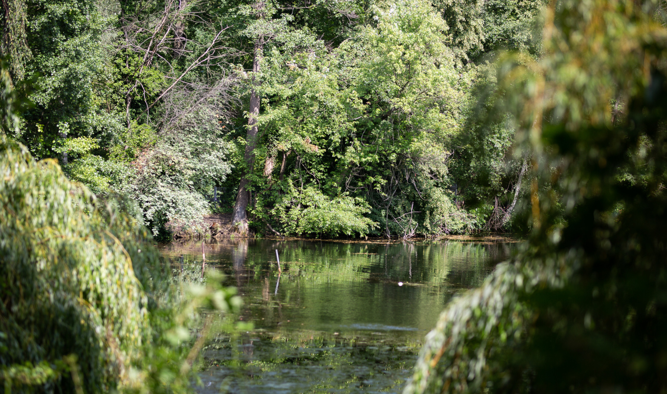Berlin: Neuer Open Air Club 'Plötze' wurde eröffnet