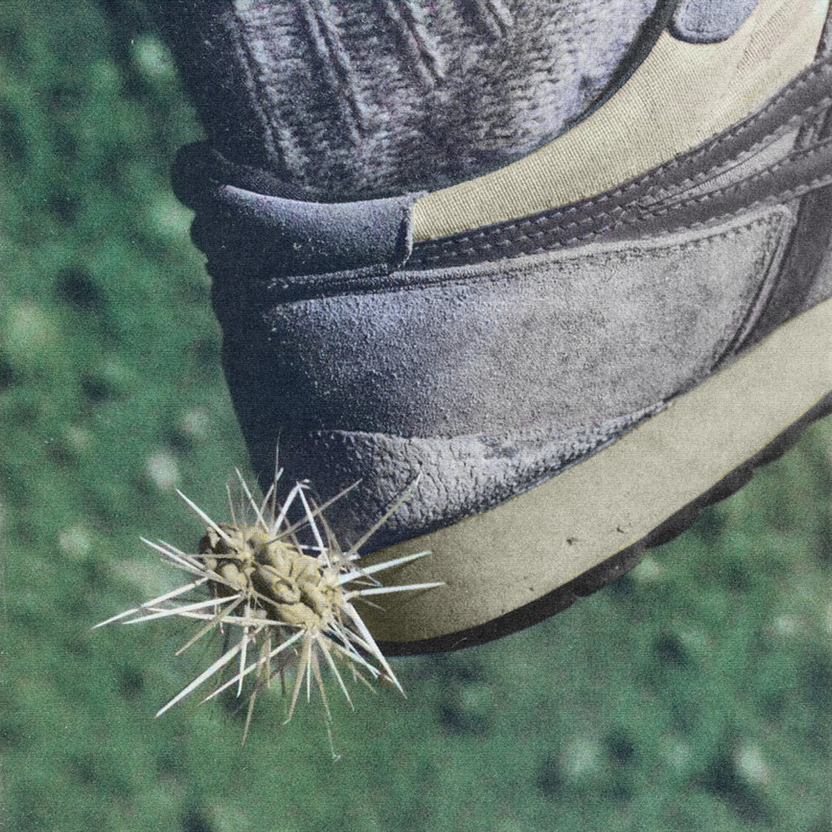 Ross_From_Friends_Tread_Album