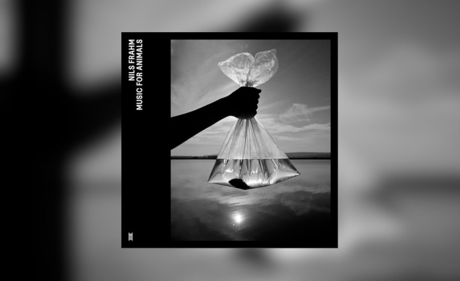 Nils Frahm: Neues Album 'Music for Animals' angekündigt