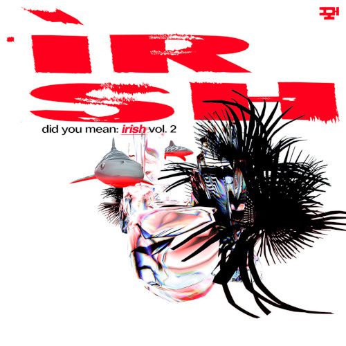 did you mean - irish vol. 2