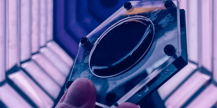 Photon Smasher: Ein Mikrofon das Licht "hören" kann