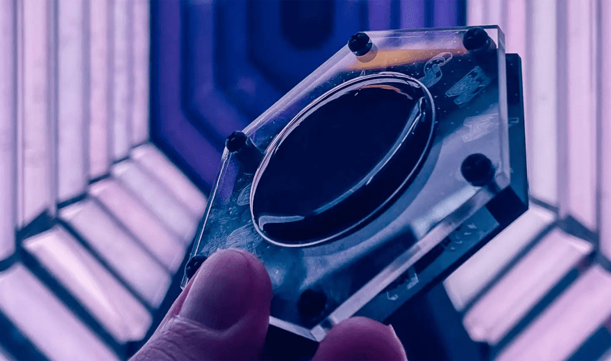 Photon Smasher: Ein Mikrofon das Licht "hören" kann