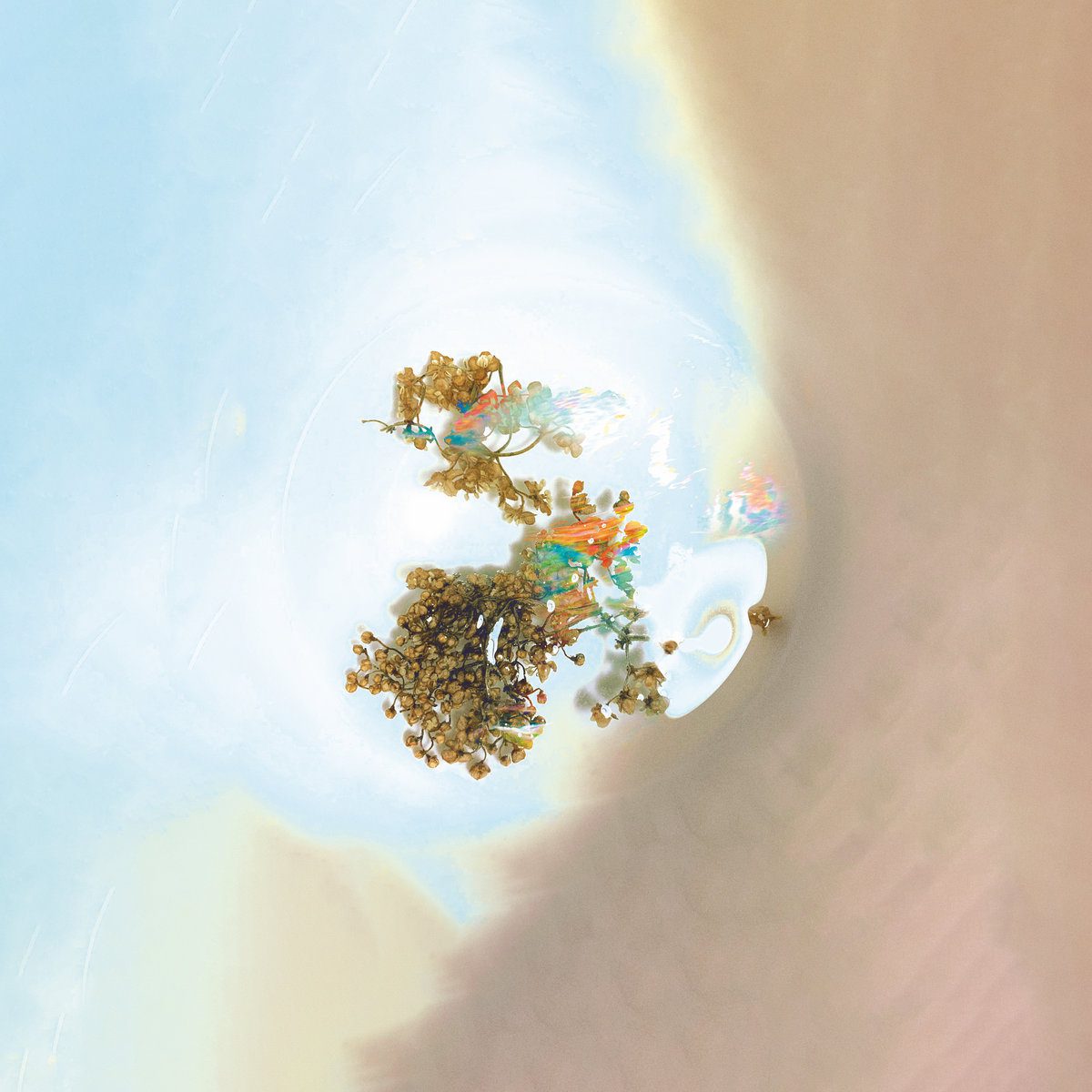 Sam Goku – The Things We See When We Look Closer