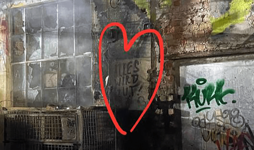 Dresden: Brand in Techno-Club 'objekt klein a'