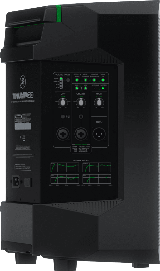 Mackie Thump GO Bedien- und Anschlusspanel.