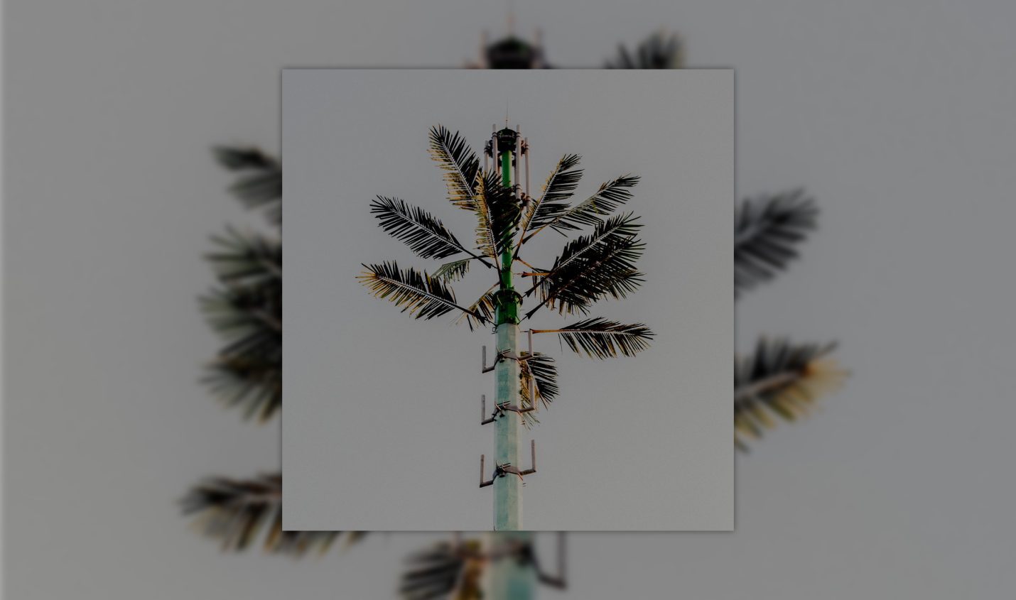 Review: DJ Balduin – Concrete Mimosa [KANN]