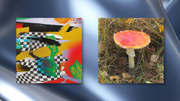 Musik zum Wochenende: Traumprinz und Music From Memory