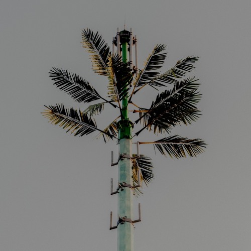 DJ Balduin – Concrete Mimosa [KANN]