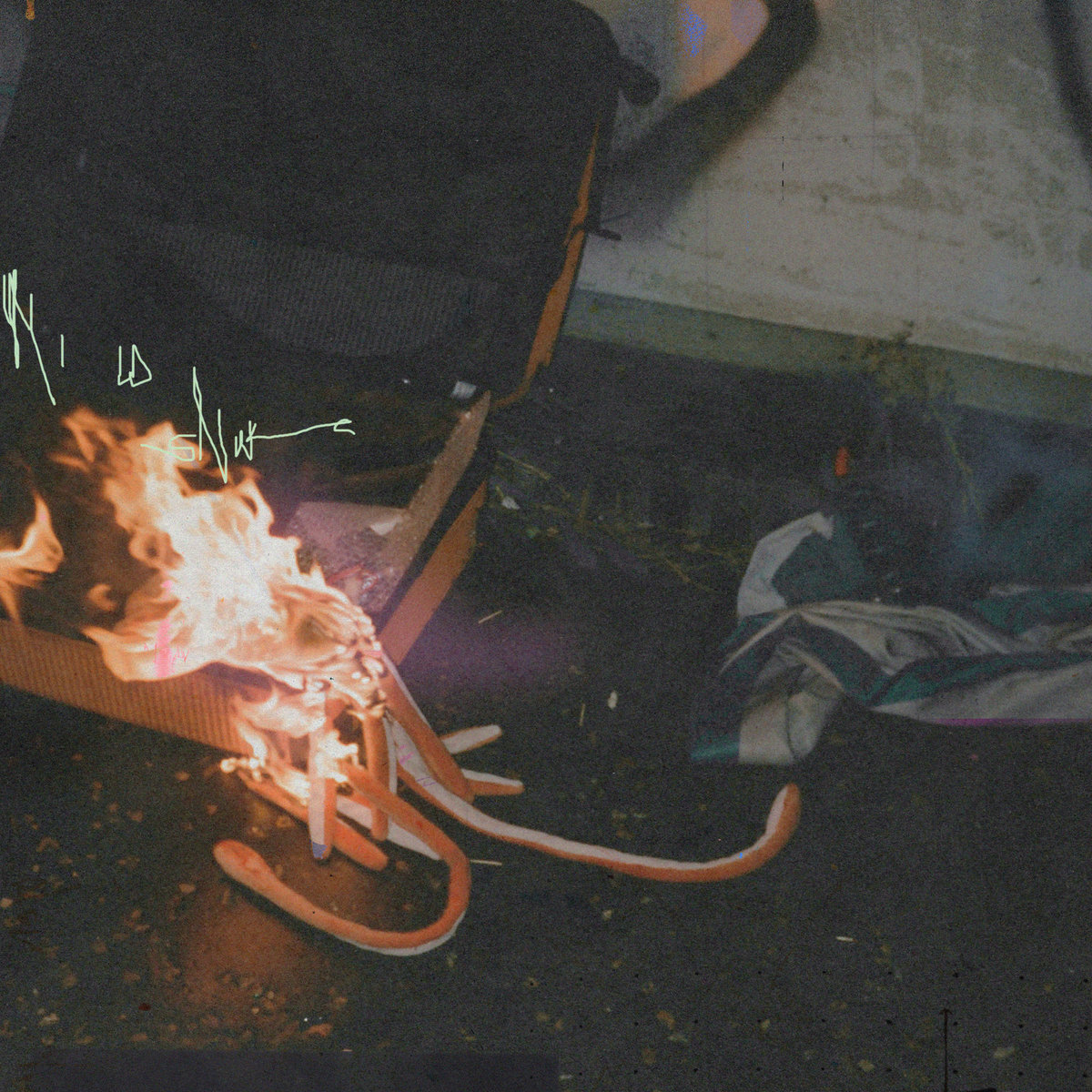 Ivy Lab – Mild Snake