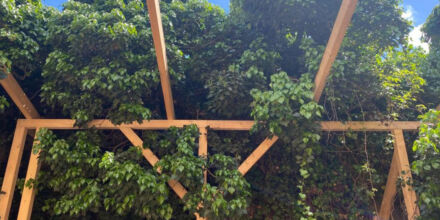 ÆDEN: Club soll Mitarbeiter:innen nach Gründung eines Betriebsrats entlassen haben