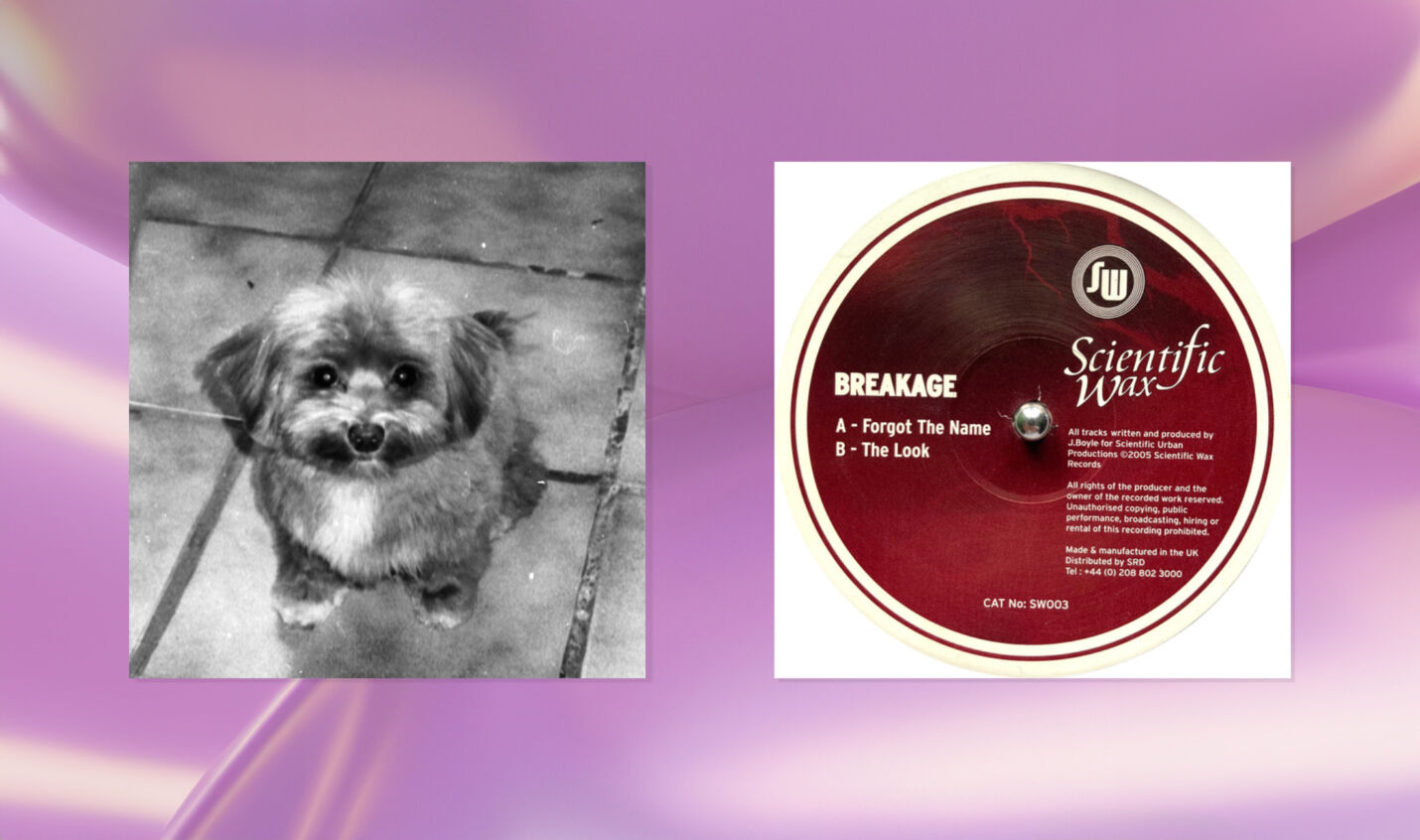 Musik zum Wochenende: Scientific Wax und SUWI