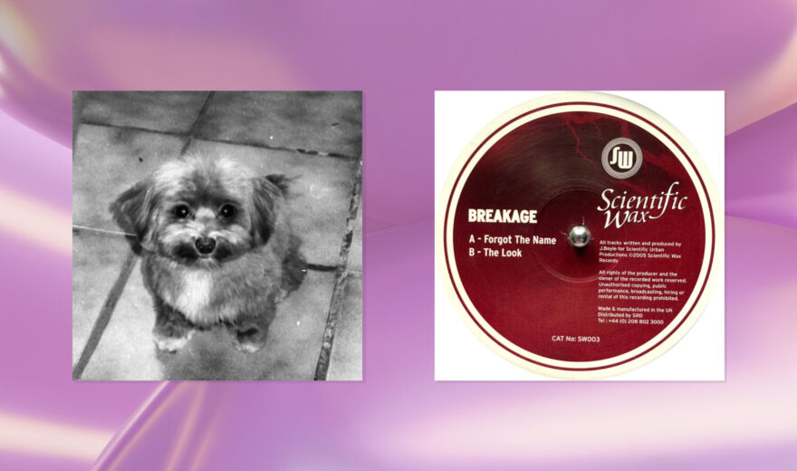 Musik zum Wochenende: Scientific Wax und SUWI