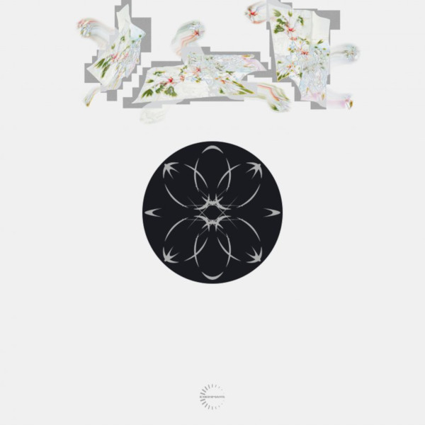 Sam Goku – Radiants