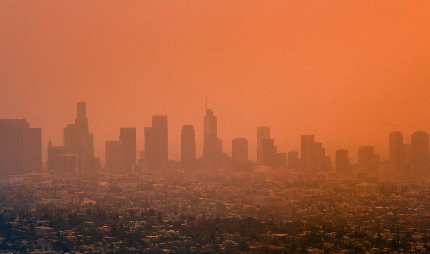 Bruchstelle: Discogs’ Spendenaktion für Los Angeles – Der Gipfel der Scheinheiligkeit