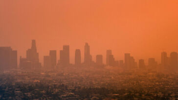 Bruchstelle: Discogs’ Spendenaktion für Los Angeles – Der Gipfel der Scheinheiligkeit