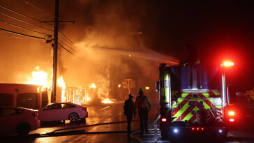 Bandcamp spendet für Musiker*innen, die von den kalifornischen Bränden betroffen sind