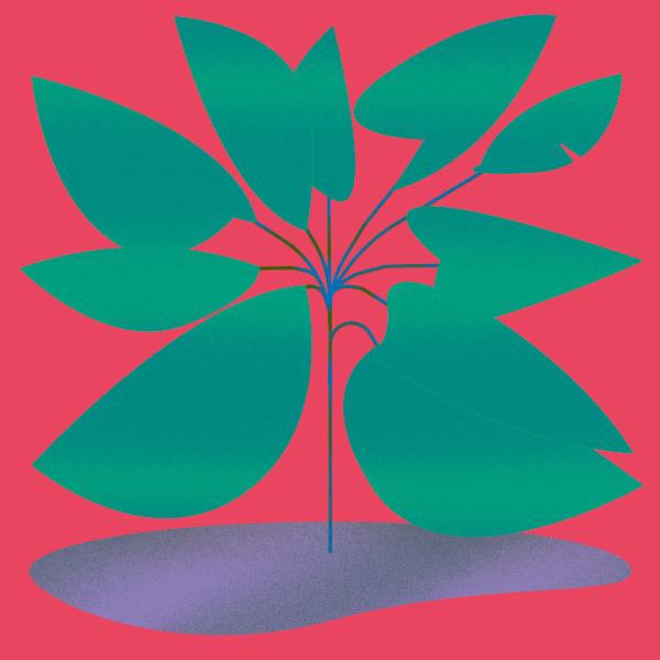 Various Artists – On Board 10