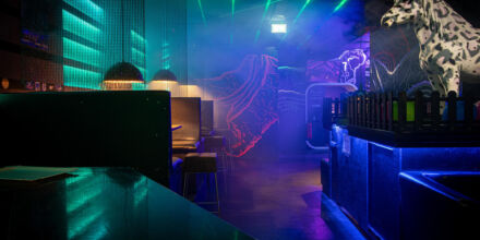 Wien: Techno-Club Ponyhof muss schließen