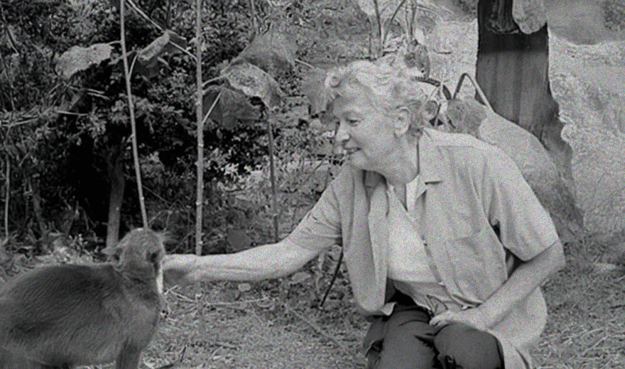 Éliane Radigue: Die Mutter des Drone ist tot 