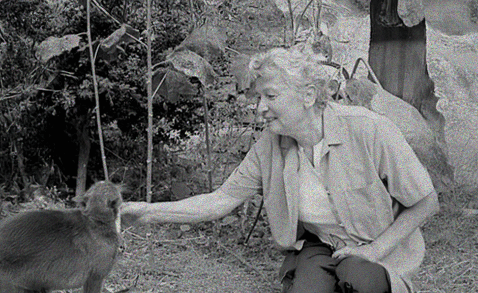 Éliane Radigue: Die Mutter des Drone ist tot 