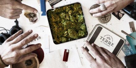 7,50 Euro pro Gramm Cannabis: Wie eine "Schöne Neue Welt" dem Schwarzmarkt in Freiberg den Kampf ansagt