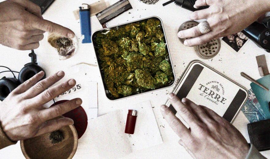 7,50 Euro pro Gramm Cannabis: Wie eine "Schöne Neue Welt" dem Schwarzmarkt in Freiberg den Kampf ansagt