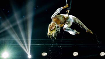 Abschied aus der Berliner Subkultur: Warum der Kulturraum Katapult nach einem Jahrzehnt schließt