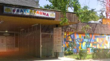 Vom Technoclub zur Poolbar: Die Wiener Pratersauna meldet sich mit neuem Konzept zurück