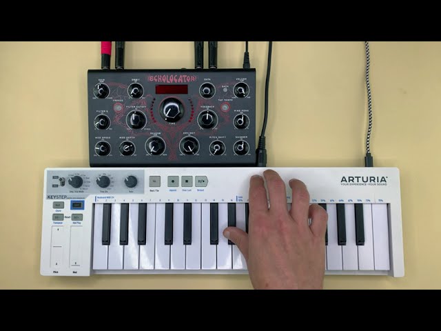 Erica Synths Echolocator | Technno Jam (no talking)