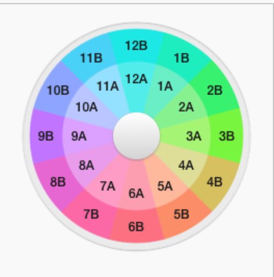 Mixed in Key 6.1 - Camelot Wheel